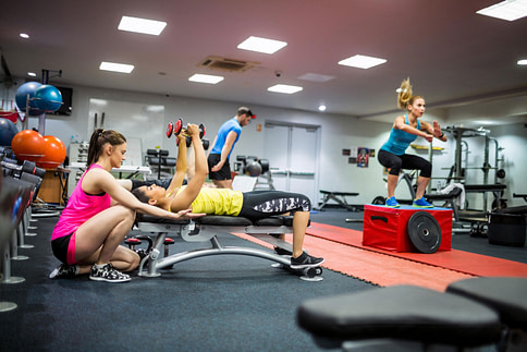 Fitterpreneur Academy: All courses